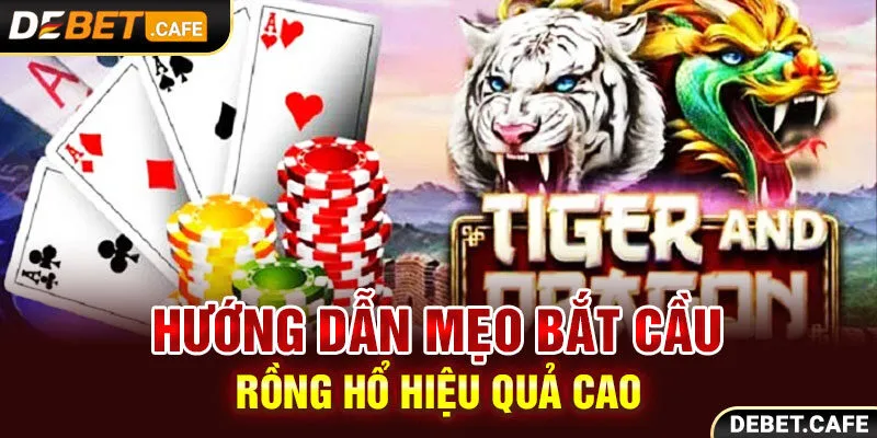 Hướng Dẫn Mẹo Bắt Cầu Rồng Hổ Hiệu Quả Cao Thắng Lớn